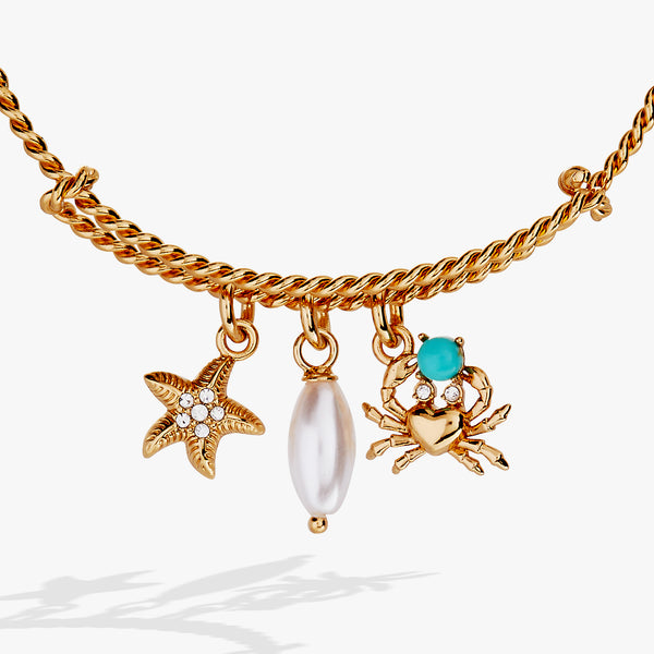 Alex And Ani Seaside Charm Bangle