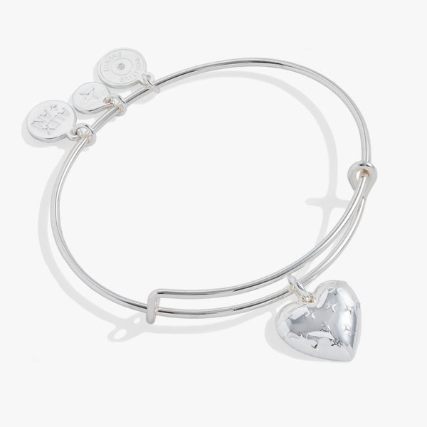 alex and ani Silver Metal Heart Charm Bangle