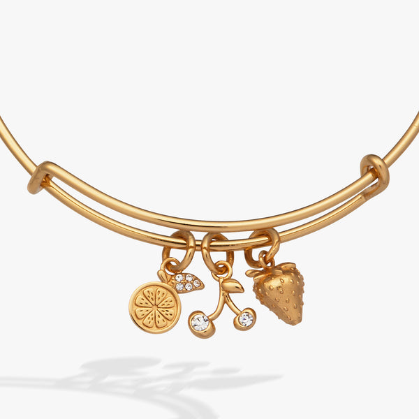 Alex And Ani Summer Fruits Charm Bangle