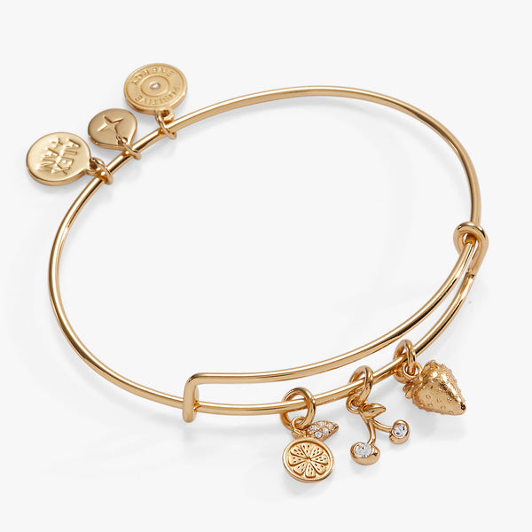 alex and ani Summer Fruits Charm Bangle