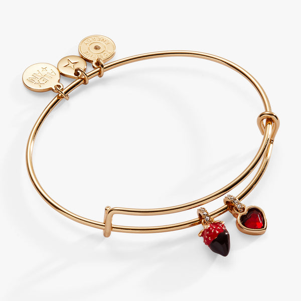 alex and ani Chocolate-Covered Strawberry Duo Charm Bangle