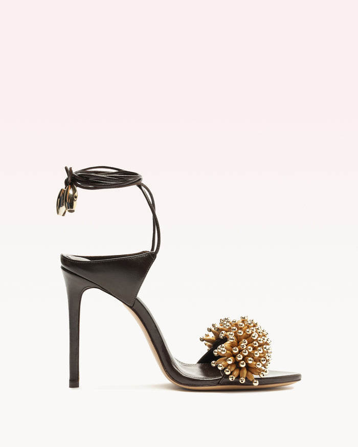 alexis Zaya 100 Dark Brown