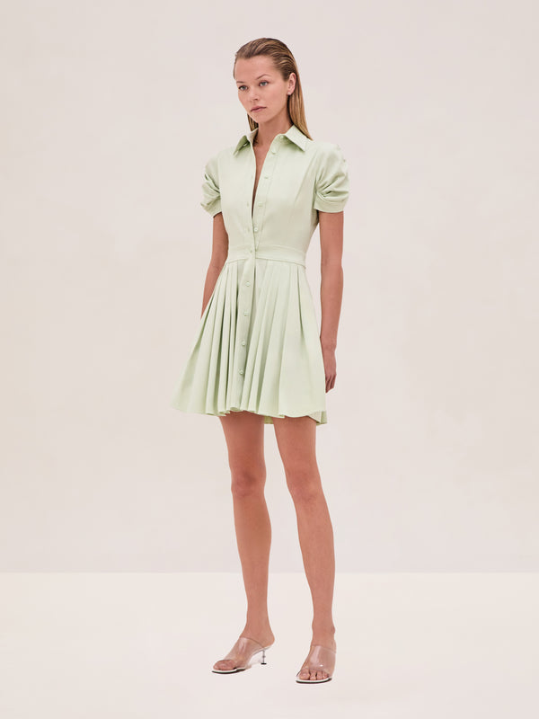alexis April Dress MINT