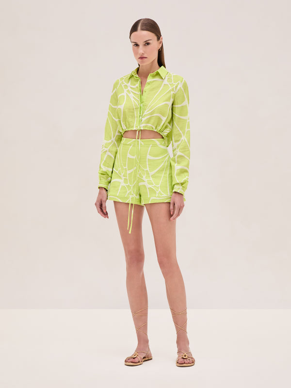 alexis Izmir Short CITRON