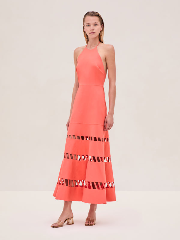 alexis Janessa Dress POPPY