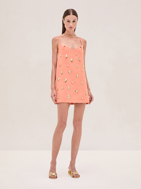 alexis Larsen Dress TANGERINE