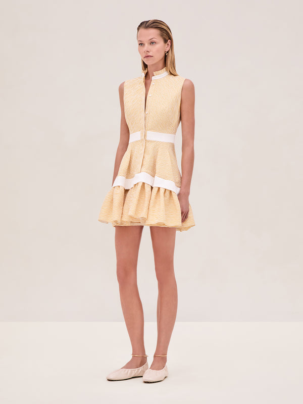 alexis Natacha Dress YELLOW STRIPE