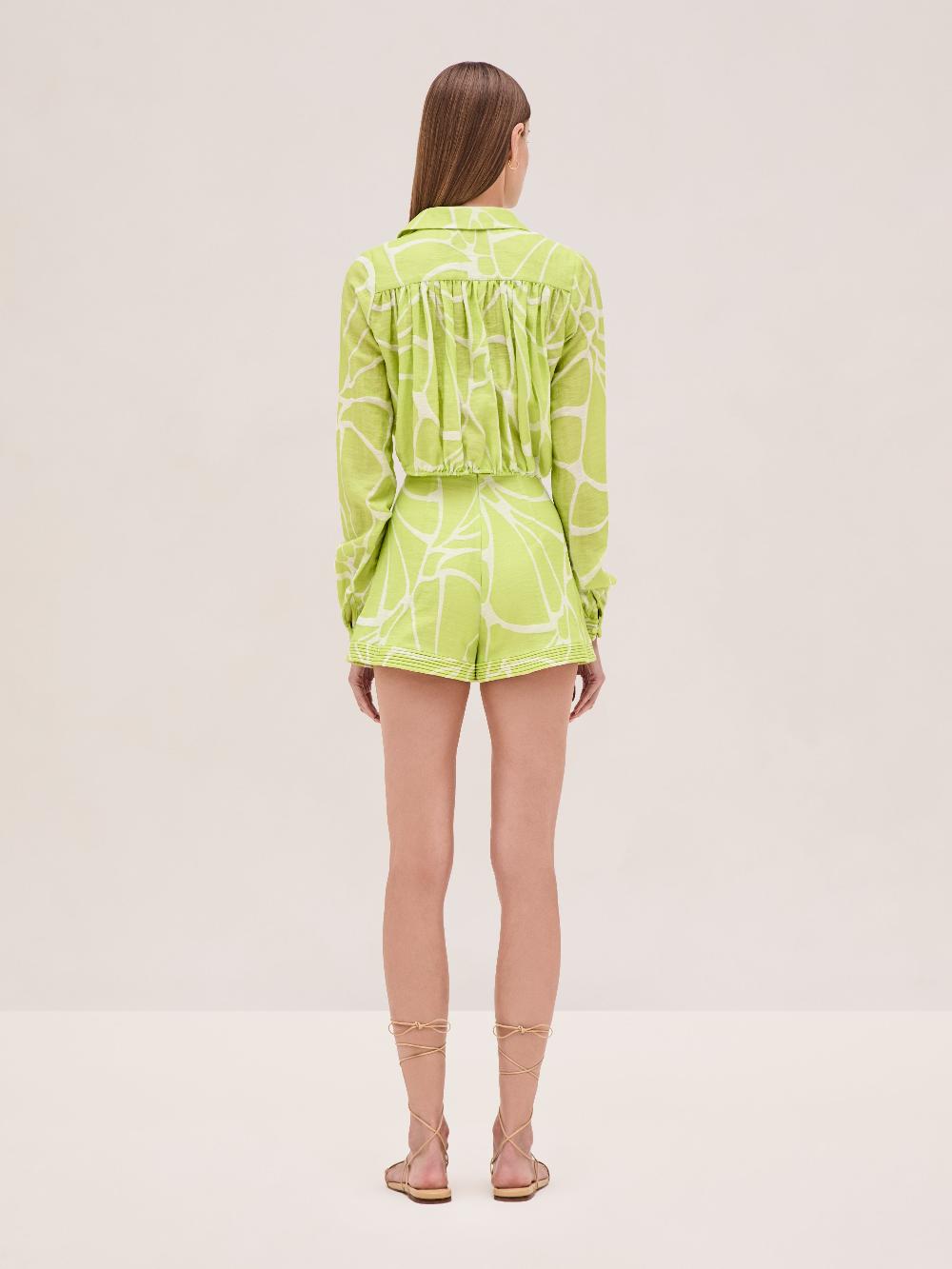 Alexis Yael Top CITRON