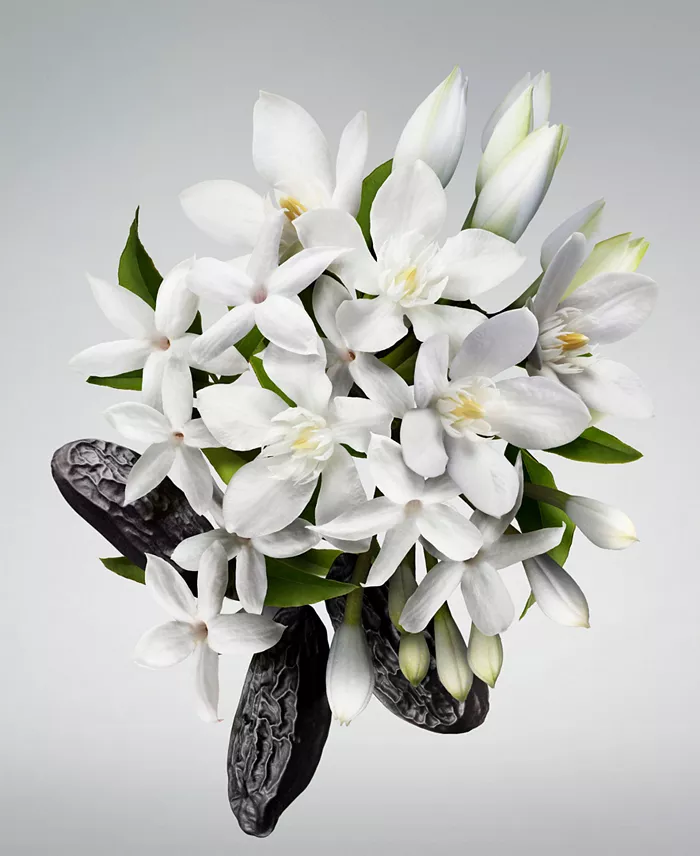 Alfani Carolina Herrera 3-Pc. Good Girl Eau De Parfum Gift Set Beauty