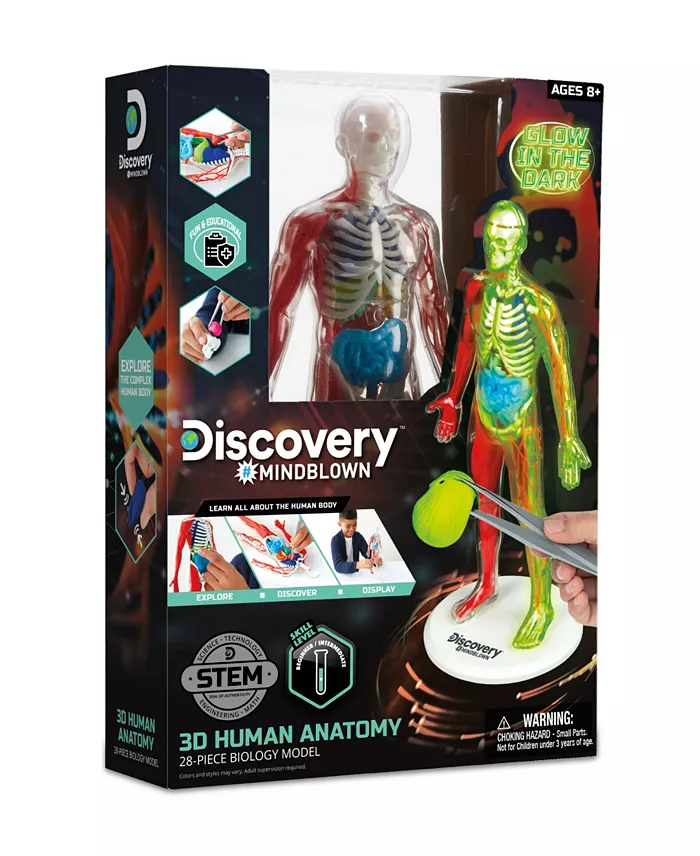 Alfani Discovery #MINDBLOWN CLOSEOUT 3D Human Anatomy 28-Piece Biology Model All Toys