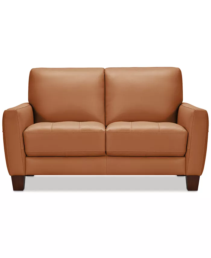 Alfani Furniture Galligher Leather Sofa Collection Created For Macy's Furniture