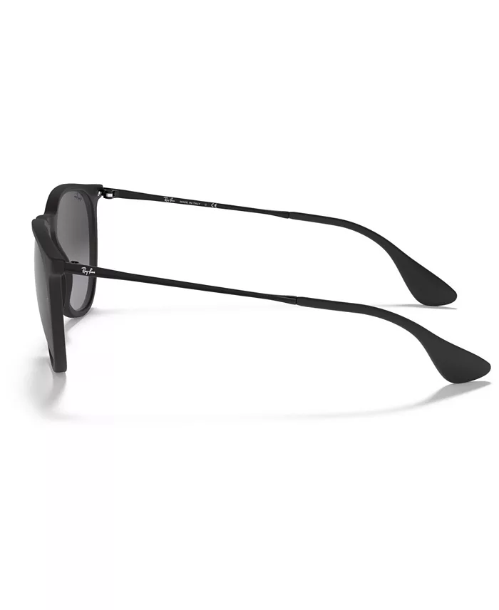 Alfani Ray-Ban Sunglasses RB4171 ERIKA Handbags Purses & Accessories