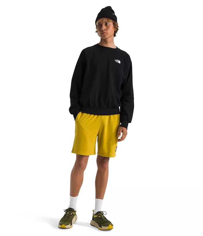 Alfani The North Face Men's Evolution Crewneck Sweatshirt Men's Fashion & Accessories