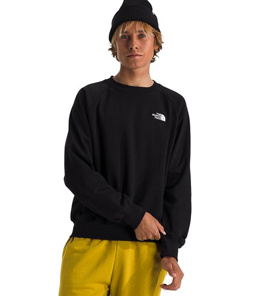 alfani The North Face Men's Evolution Crewneck Sweatshirt Men's Fashion & Accessories