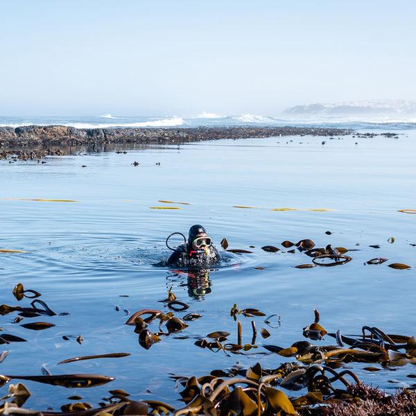Alice Made This Alice Made This | Mens Minimalist Necklaces | Designer Chain Men's Necklace