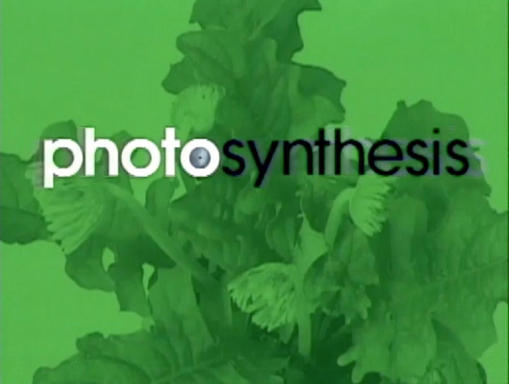 Alien Workshop Exalt Photosynthesis Tee [Black] – Alien Workshop | The Sovereign Sect T-Shirts