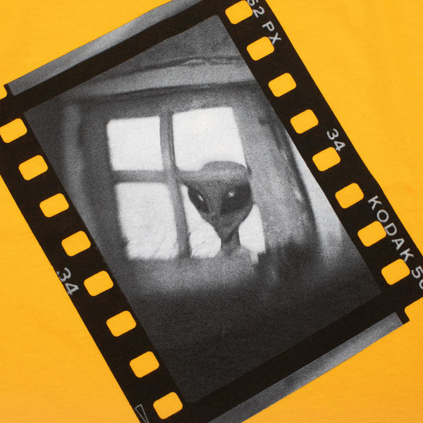 Alien Workshop Visitor Evidence L/S T-Shirt Gold – Alien Workshop | The Sovereign Sect Longsleeve T-Shirt