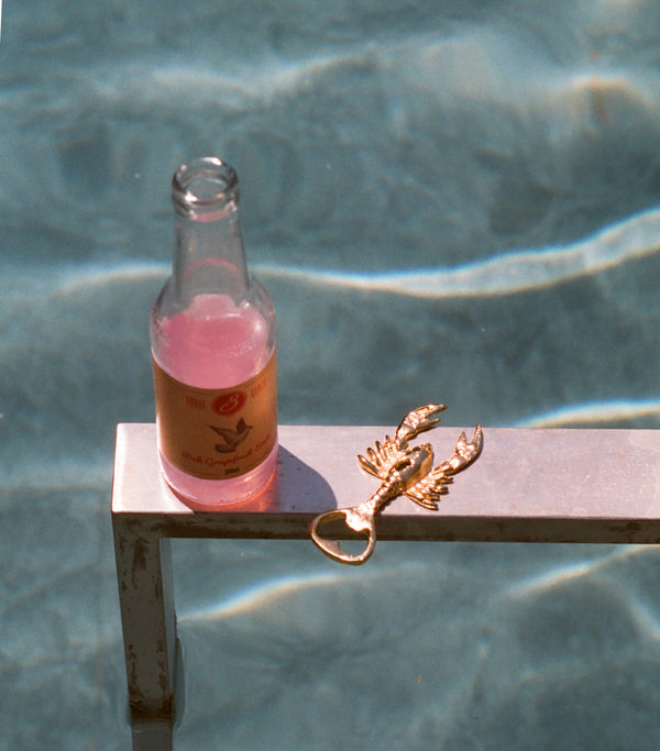 Alighieri A Life Aquatic Bottle Opener – Alighieri Tableware