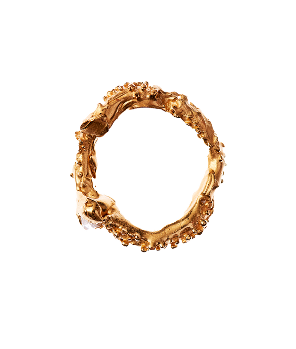 Alighieri The Captured Magic Ring – Alighieri Rings