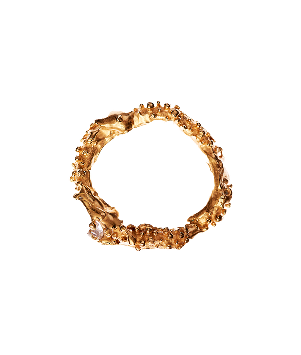 alighieri The Captured Magic Ring – Alighieri Rings