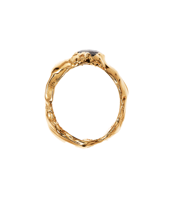 Alighieri The Captured Meteor Ring – Alighieri Rings