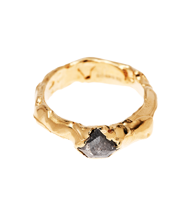 alighieri The Captured Meteor Ring – Alighieri Rings