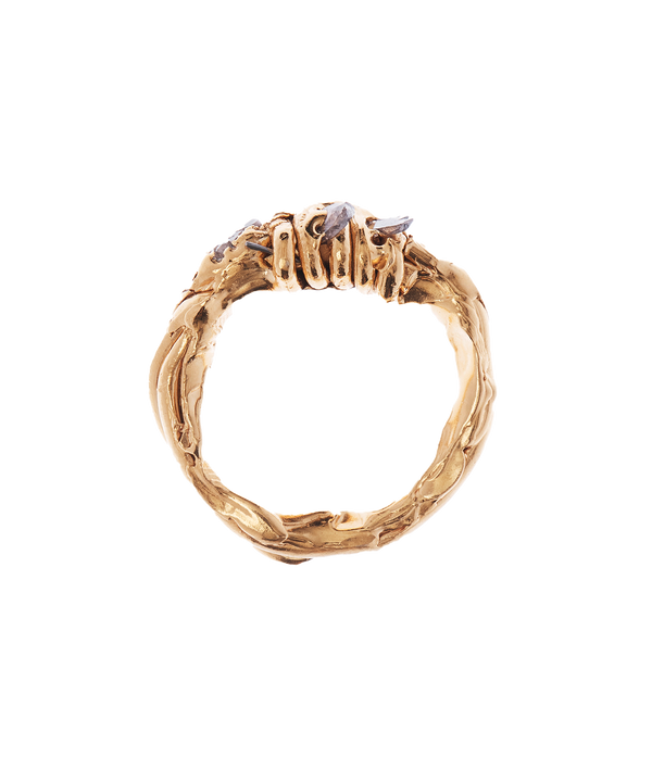 Alighieri The Star Cloud Ring – Alighieri Rings