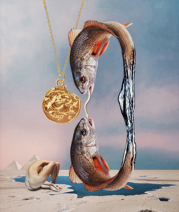 Alighieri Pisces Necklace | 9k Gold Zodiac Pendant | Alighieri Necklaces