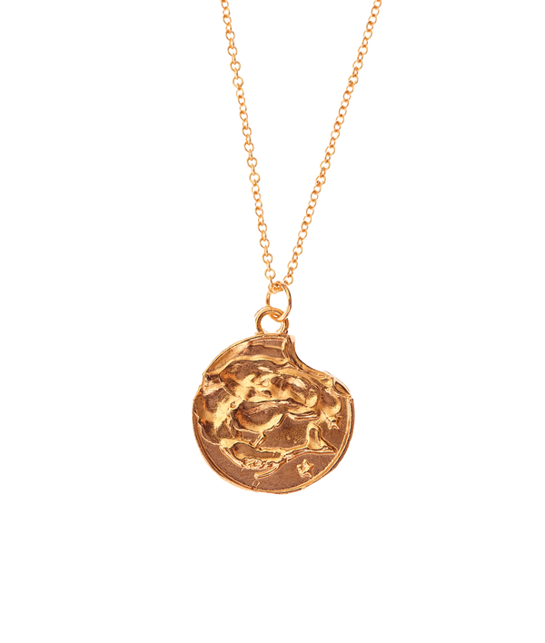 alighieri Pisces Necklace | 9k Gold Zodiac Pendant | Alighieri Necklaces