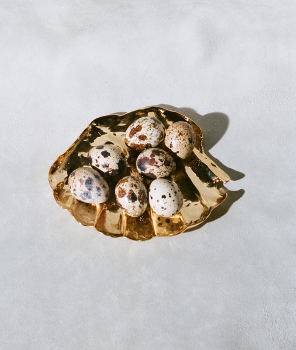 Alighieri The Alighieri Shell Of Clarity Dish Decor