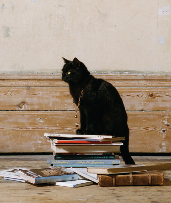 Alighieri The Ball Of Curiosity Choker – Alighieri Necklaces