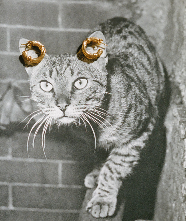 Alighieri The Cat's Cradle Hoops – Alighieri Earrings