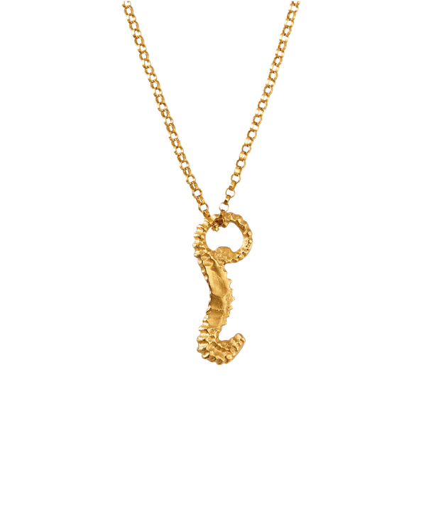 alighieri The Elusive Dreamer Necklace – Alighieri Necklaces