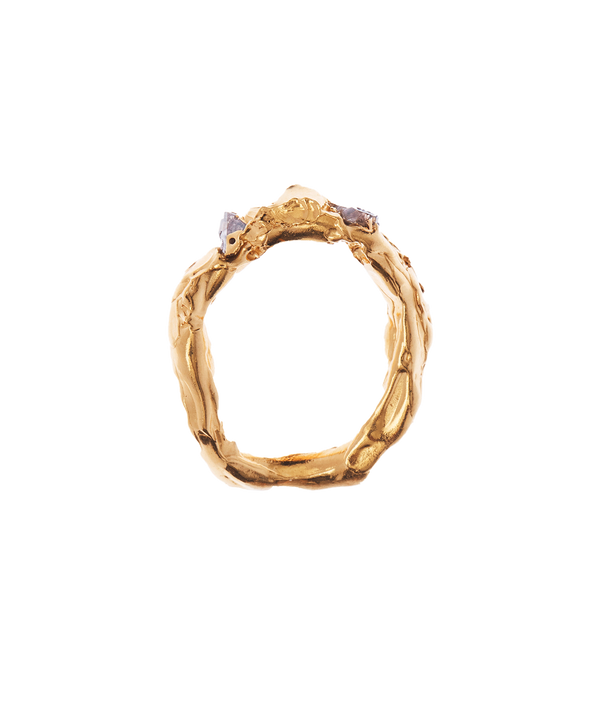 Alighieri The Gathering Of The Moons Ring – Alighieri Rings