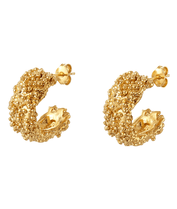 Alighieri The Rocky Road Hoops| The Alighieri Rocky Road Series Earrings