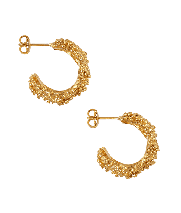 Alighieri The Rocky Road Hoops| The Alighieri Rocky Road Series Earrings