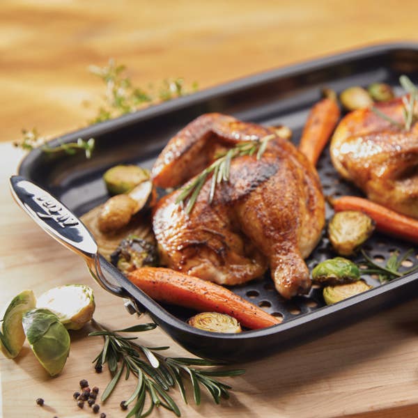 All Clad Outdoor Nonstick Roaster 11 X 15 Inch