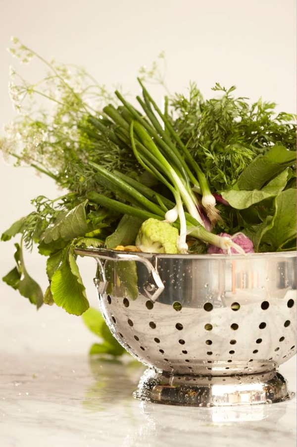 All Clad Stainless Steel Colander; 5 Quart