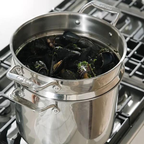 All Clad Simply Strain; Stainless Steel Multipot With Insert; 12 Quart