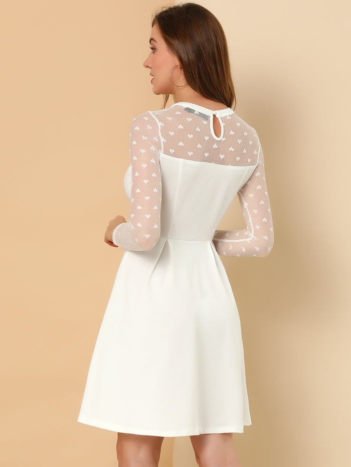 Allegra K Heart Mesh Sheer Long Sleeve Gothic Cocktail Skater Mini Dress