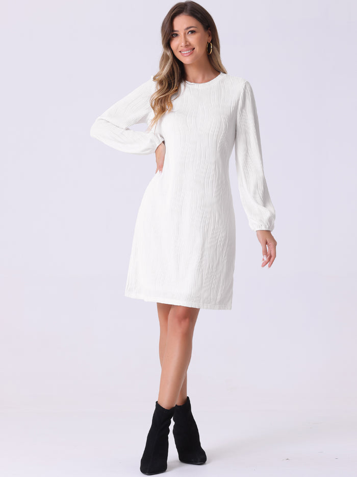 allegra k Long Lantern Sleeve Solid Color Textured Midi Dress