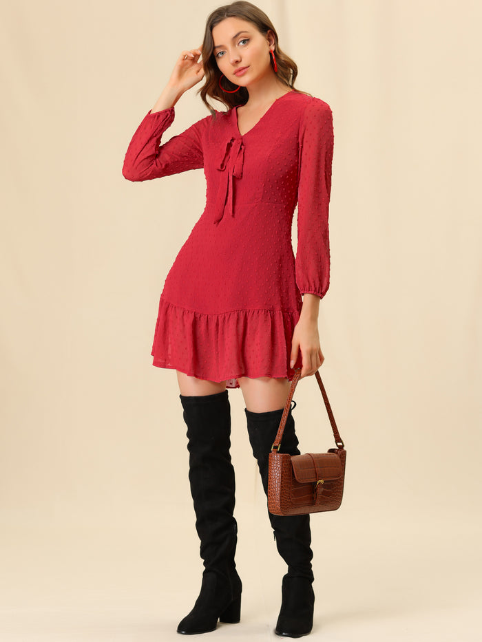 allegra k Long Sleeve Bow Tie Decor V Neck Ruffle Hem Swiss Dot Dress