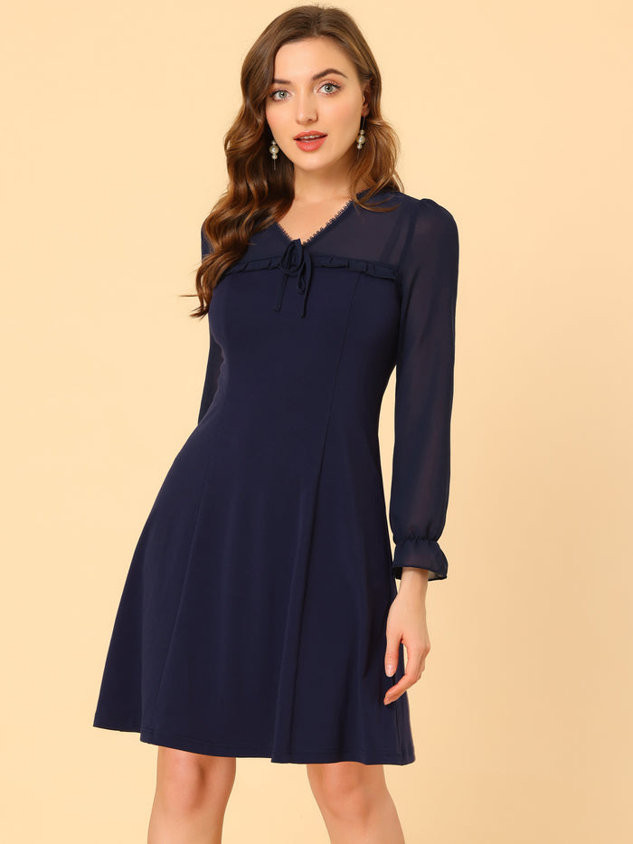 allegra k Ruffle V Neck Mesh Sheer Panel Long Sleeve Chiffon Mini Dress