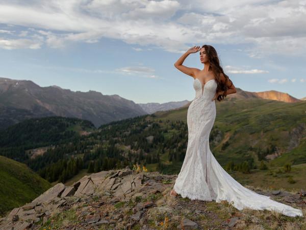 Allure Bridals Bridal Wilderly Bride F226 - Charli