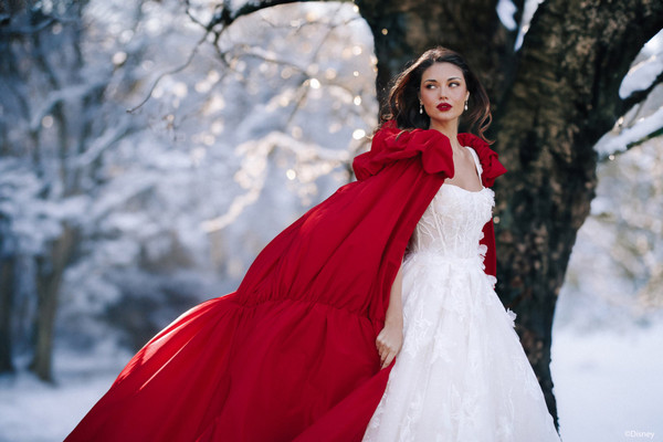 Allure Bridals Bridal Disney Fairy Tale Weddings D447 - Snow White