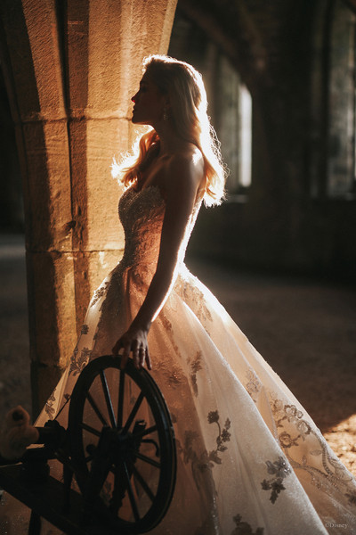 Allure Bridals Bridal Disney Fairy Tale Weddings DP271 - Aurora