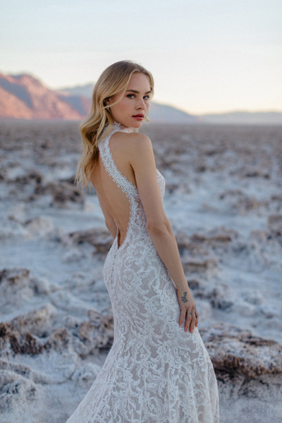 Allure Bridals Bridal Wilderly Bride F381 - Josephine