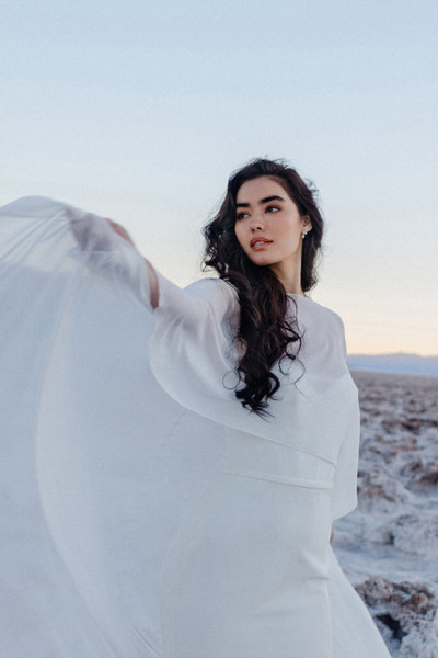 Allure Bridals Bridal Wilderly Bride F385CP2 - Cleopatra Cape