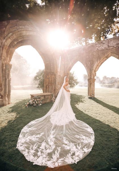 Allure Bridals Dresses Bridal Accessories DV31 - Auroral Veil