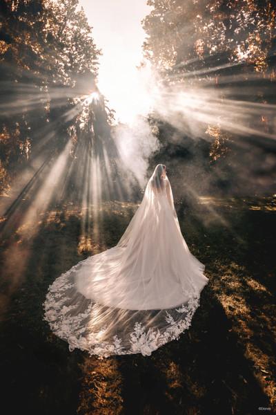 allure bridals Dresses Bridal Accessories DV37 - Snow White Veil